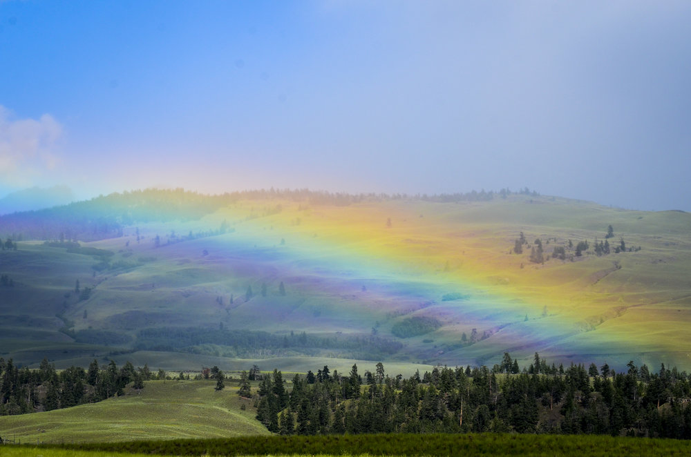 Photography by  Opal Michel Photos