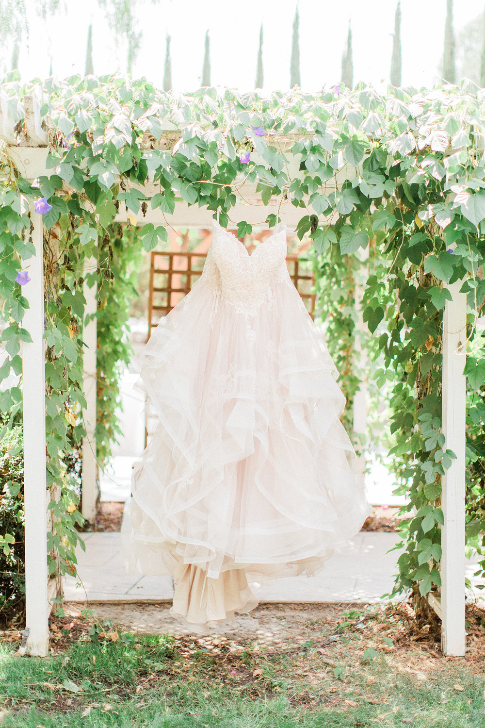 Photo Aug 11, 2 19 15 PM.jpg